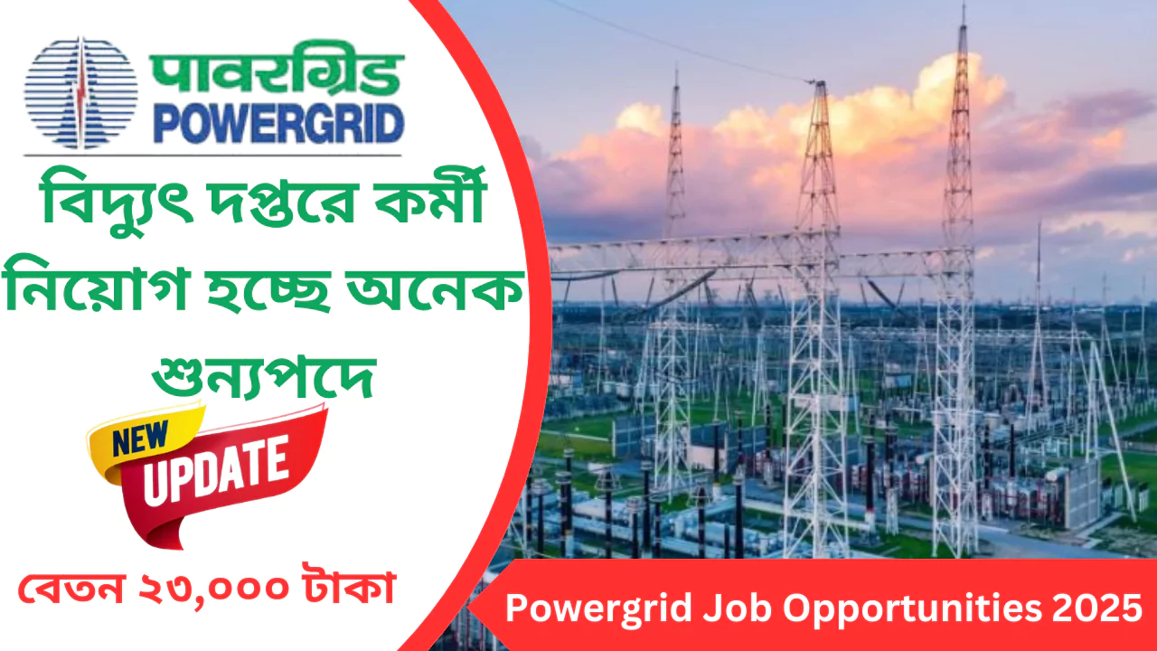 Powergrid Job Opportunities 2025