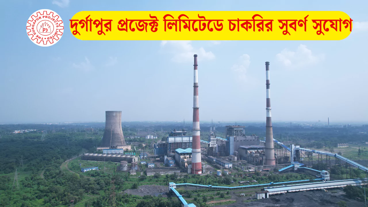 DPL Junior Manager Recruitment 2025